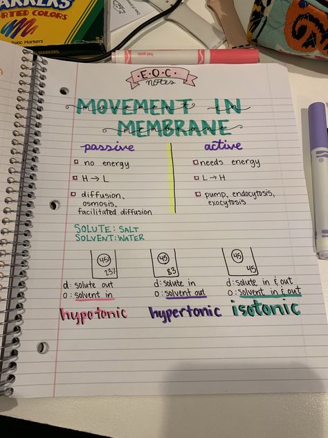 Diffusion Notes Biology, Plasma Membrane Notes, Alevel Biology, Microbiology Notes, Biology Degree, Earth Science Activities, Science Revision, Biology Revision, Mcat Study