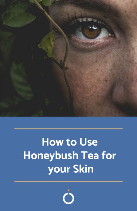 Honeybush tea, is a herbal tea from South Africa, that is known to provide a wide range of health, hair and skin benefits. Honeybush tea is known to improve skin health by treating and reducing skin... Find out the benefits of this miracle tea here!  #honeybush #honeybushtea #Skin #remedy #natural #OneHOWTO Honeybush Tea, Health Hair, Skin Benefits, Skincare Tips, Herbal Tea, Improve Skin, Skin Health, Being Used, Natural Skin Care