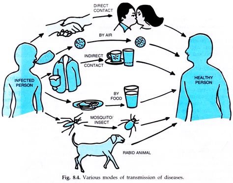 Science Lab Safety, Diseases Pictures, Communicable Diseases, Non Communicable Disease, Lab Safety, Infection Control, Baby Animals Pictures, Animals Pictures, Straight Forward