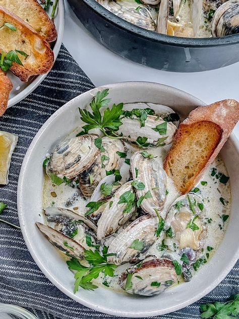 steamer clams in lemony white wine cream sauce — AllTypesOfBowls Steamer Clams White Wine, Steamed Clams In White Wine Garlic, Types Of Bowls, Steamer Clams, Clam Sauce Recipe, Grilled Clams, Wine Cream Sauce, Fresh Clams, White Wine Cream Sauce