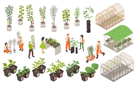 Isometric Garden Illustration, Isometric Plants, Plants In Greenhouse, Garden Icons, Vegetable Farm, Crop Field, Co Housing, Vegetable Illustration, Nursery Garden