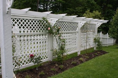 IMG_0265 Cheap Privacy Fence Ideas, Patio Vibes, Garden Scapes, Backyard Trellis, Cheap Privacy Fence, Privacy Fence Landscaping, Privacy Fence Ideas, Garden Gates And Fencing, Outdoors Ideas