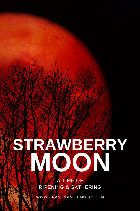 The Strawberry Moon: A Time of Ripening and Gathering June Magick, Strawberry Full Moon, Full Moon Images, Full Moon June, Strawberry Harvest, Full Strawberry Moon, Moon Film, Pagan Traditions, Next Full Moon