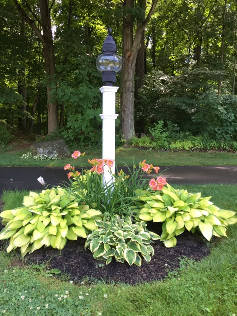 Mailbox Landscape Ideas, Country Backyard Landscaping, End Of Driveway Landscaping, Driveway Entry Landscaping, Mailbox Garden, Mailbox Landscaping, Flower Planting, Landscaping Around Trees, Patio Grande