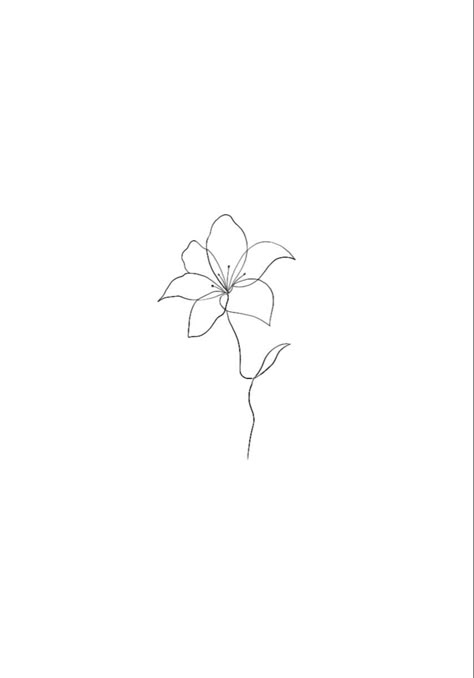 A Lily Tattoo, Tattoos Lily Flower, Lily Tattoo Dainty, Watering Can Tattoo Fine Line, Simple Lily Tattoo Outline, One Line Water Lily, Single Line Lily Tattoo, Single Line Tattoo Flower, Fine Line Lily Flower Tattoo