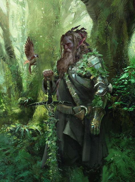 Bearded Firbolg in the woods with larger sword and light bird. Heroic Fantasy, Dungeons And Dragons Characters, High Fantasy, Fantasy Warrior, Arte Fantasy, Fantasy Rpg, 판타지 아트, Fantasy Inspiration, Medieval Fantasy