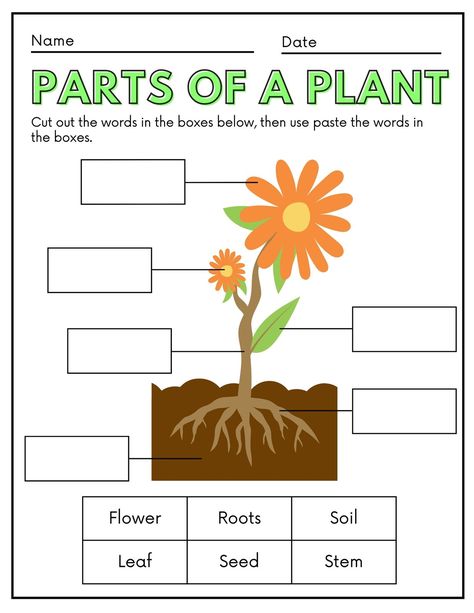 CC Worksheet| Teacher [Submit]: "Parts of a Plant" - Templates by Canva Plant Template, Worksheet Tk, Plant Videos, Writing Practice Preschool, Monday Couple, Plants Worksheets, Happy Emoji, Preschool Activities Printable, Planting For Kids