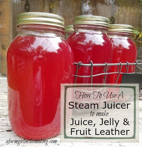 A steam juicer has revolutionized making juice concentrate, jelly, and fruit leather. Do not spend hours boiling and handing fruit, this preserving tool is ideal to use in and outside of canning season!  #steamjuicer #jelly #juice #fruitleather #canning Juice Jelly, Steam Juicer, Making Bone Broth, Preserving Recipes, Canning 101, Food Preserving, Freezing Food, Canning Food, Fruit Leather