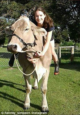 Riding A Cow, Cow Riding, Pet Cows, Dream Stables, Cow Photos, Dairy Cow, Dream Yard, Farm Ideas, A Pony