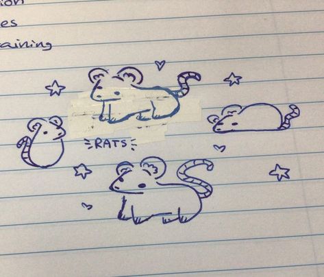 Drawing Ideas Easy Doodles Animals, Random Words To Draw, Draw Simple Animals, Rat Doodle, Random Things To Draw Doodles, Rats Drawing, Goofy Drawings, Lil Doodles, Drawing Tuts