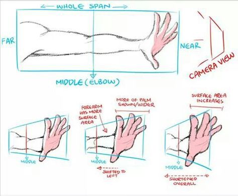 Arm perspectives Beginner Drawing, Photo Manga, Draw Hands, Hand Reference, Different Angles, Perspective Drawing, Nature Drawing, Anatomy Drawing, Poses References