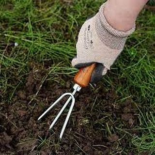 Transform Your Garden with Our Hand Cultivator! Meet your new gardening best friend! This Hand Cultivator is perfect for loosening soil and removing weeds. Its ergonomic handle makes it super comfortable to use. Swipe to see it in action! #gardeningtools #handcultivator #gardenlife Hand Cultivator, The Soil, Ergonomic Handle, Garden Tools, See It, Soil, Best Friend, Collage, Pins