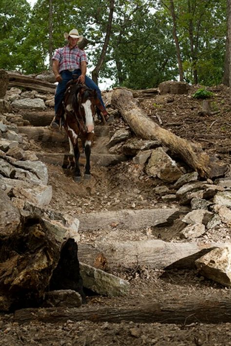 Could make this Horse Obstacles, Paddock Trail, Leather Horse Tack, George Morris, Trail Riding Horses, Trail Horse, Horse Adventure, Cross Country Jumps, Paddock Paradise