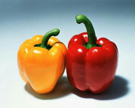 Fruit Wallpaper Photography, Red Vegetables, Pepper Steak Recipe, Vegetables Photography, Life Drawing Reference, Red Bell Peppers, Fruit Wallpaper, Pepper Steak, Still Life Fruit