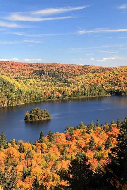 Island pines, Mauricie National Park in Autumn Canada Autumn, Canada Fall, Salt Shaker, 7 Hours, Quebec City, Quebec Canada, Canada Travel, Fall Foliage, Nova Scotia