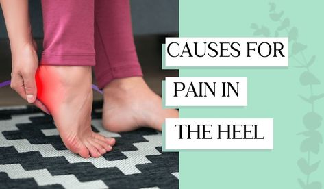 Heel Pain Relief Remedies, Sore Heels, Foot Anatomy, Heel Pain Relief, Pain Relief Remedies, Ankle Pain, Leg Pain, Calf Muscles, Heel Pain