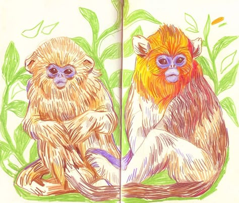 Joanna Rzepecka, Cute Monkey Drawing, Two Monkeys, Sketchbook Spread, Monkey Drawing, Monkey Illustration, New Sketchbook, Monkey Art, Sketchbook Art Journal