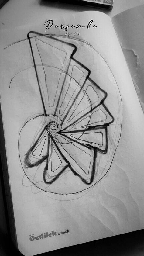 Radial Architecture Plan, Organic Architecture Concept Sketch, Concept Architecture Ideas Sketch, Golden Ratio Architecture, Organic Architecture Concept, Eco Project, Biomimicry Architecture, Origami Architecture, Conceptual Sketches