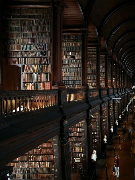 Lots Of Books, Trinity College Dublin, Dark Acadamia, Book Cases, Long Room, Dream Library, Beautiful Library, Old Library, Library Aesthetic