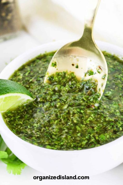 Chimichurri Cilantro Sauce Blueberry Fruit Leather Recipe, Cilantro Chimichurri Sauce Recipe, Cilantro Oil, Cilantro Chimichurri, Fruit Leather Recipe, Cilantro Recipes, Chimichurri Recipe, Drying Cilantro, Cilantro Sauce