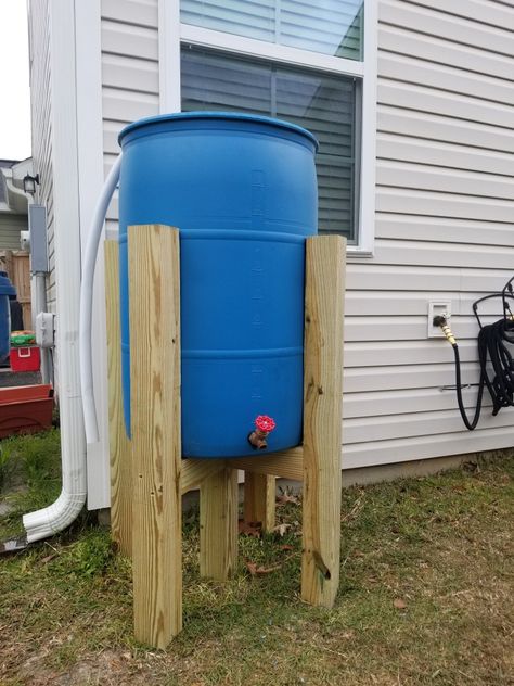 Rain Barrel Stand, Barrels Diy, Water Barrel, نباتات منزلية, Farm Tables, Water Collection, Rain Barrel, Rain Water Collection, Garden Yard Ideas