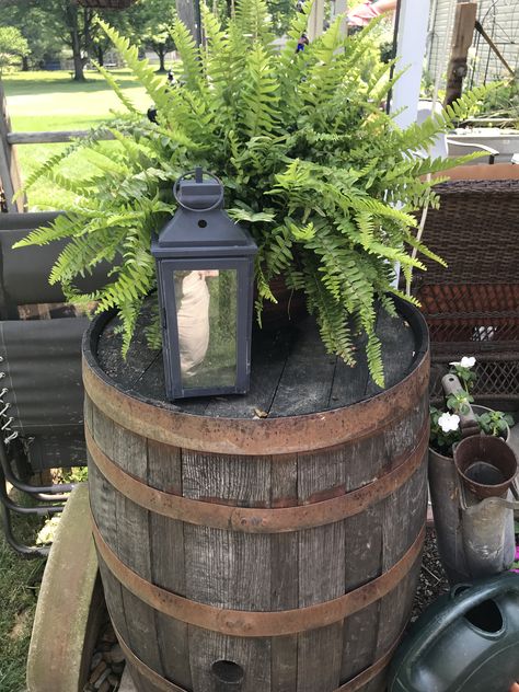 Whiskey Barrel Decorating Ideas Front Porch, Wine Barrel Outdoor Ideas, Country Planter Ideas, Whiskey Barrel Outdoor Decor, Wooden Barrel Decor, Wine Barrel Patio Ideas, Whiskey Barrel Outdoor Ideas, Whiskey Barrel Porch Ideas, Wine Barrel Backyard Ideas