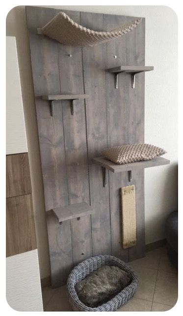 Cat Tower Alternatives, Shelves For Cats Diy, Cat Shelf Diy Ideas, Wall Cat Tower, Diy Cat Carpet Wall, Diy Cat Cattery, Wall For Cats Diy Projects, Cat Wall Tower, Diy Cat Space