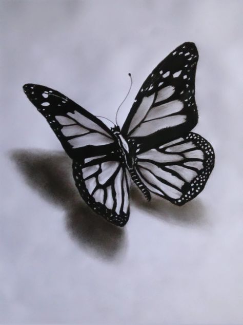 Butterfly Charcoal Drawing, Charcoal Butterfly, Face Art Drawing, Pencil Drawings Of Animals, Pencil Shading, Disney Art Drawings, Drawing Step, Butterfly Tattoo Designs, Art Drawings Sketches Pencil