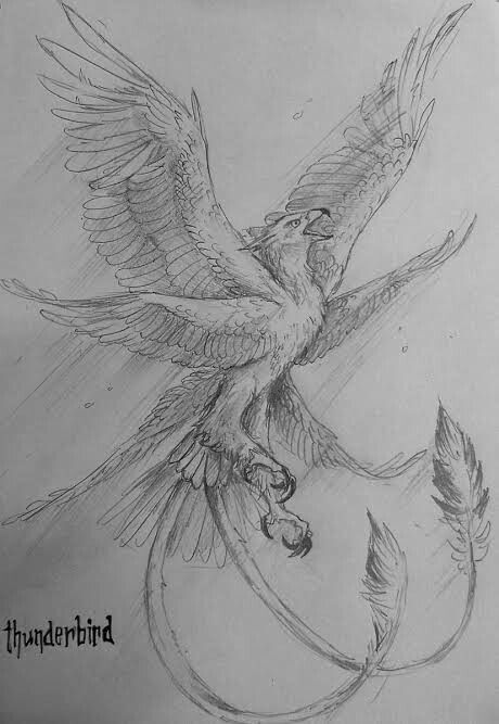 Magical Animal Drawings, Harry Potter Magical Creatures Drawings, Creature Drawings Sketches, Mythical Creature Drawings Sketches, Beast Tattoo Ideas, Griffin Drawing, Fantastic Beasts Creatures, Harry Potter Creatures, Mythical Creatures Drawings