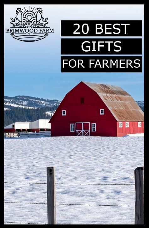 These are my best recommendations for Christmas gifts for farmers, gardeners and homesteaders 2022. Chrsitmas Gift, Farming Ideas, Automatic Chicken Coop Door, Farm Business, Gifts For Loved Ones, Farm Gifts, Gift Guide For Him, Farmer Wife, Farm Signs