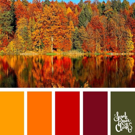 Autumn color palette | 25 color palettes inspired by the PANTONE color trend predictions for Fall/Winter 2018 - Find more color palettes, mood boards and schemes at www.sarahrenaeclark.com #color #colorpalette #colorscheme Pantone Fall, Autumn Color Palette, Fall Color Schemes, Spring Color Palette, Color Schemes Colour Palettes, Dark Autumn, Fall Color Palette, Color Palette Design, Winter Colors