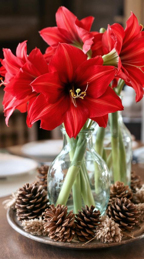 15 New Winter Floral Arrangements For Stunning Centerpieces Winter Floral Arrangements Centerpieces, Winter Centerpieces For Table, Birch Centerpieces, Amaryllis Arrangement, Winter Tree Decorations, Floral Arrangements Centerpieces, Evergreen Flowers, Winter Floral Arrangements, Orchid Centerpieces