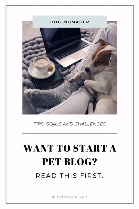 Pet Lifestyle, Dog Lifestyle, Something New Everyday, Learning Something New, Work From Home Careers, Ram Ji, Learn Something New Everyday, Dog Business, Blog Business