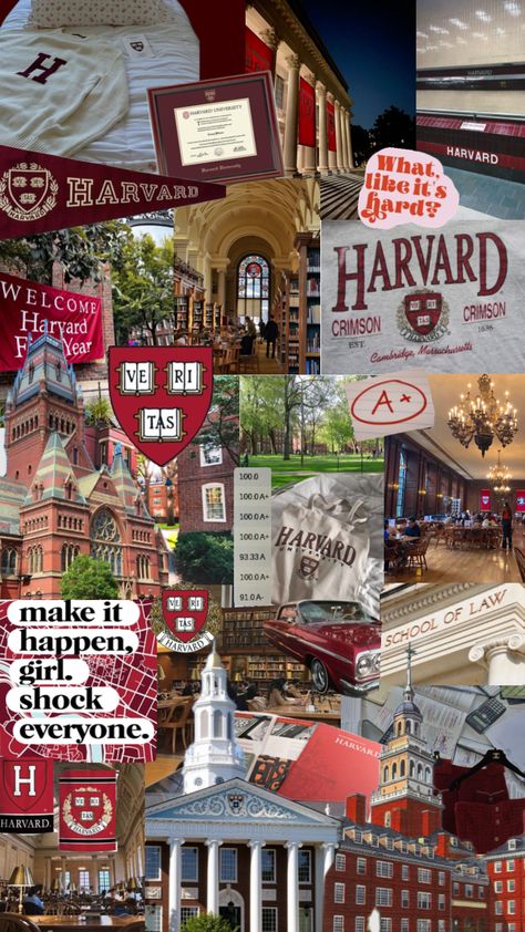 Harvard Harvard University Campus, Harvard Uni, University Inspiration, Law School Life, Harvard Students, College Vision Board, Law School Inspiration, School Study Ideas, College Motivation