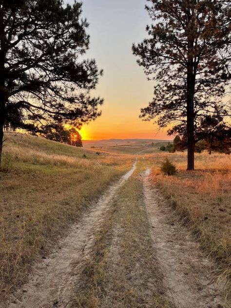 Mua Aesthetic, December Mood, Southern Aesthetic, Country Sunset, Farm Road, Open Roads, Country Aesthetic, Future Farms, Western Lifestyle