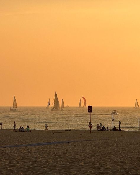 Holland Beach, Lake Michigan on Instagram • Photos and videos Lake Michigan Aesthetic, Michigan Aesthetic, Michigan Painting, Holland Beach, Michigan Lake, Yacht Sailing, Holland Michigan, Michigan Beaches, Emily Henry