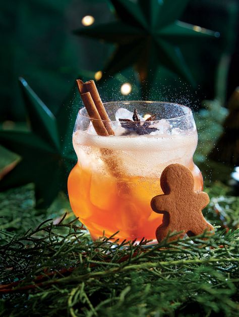 Recipe Detail Page | LCBO Mommy Juice, Infused Gin, Gingerbread Party, Gin Drinks, Refreshing Cocktail, Holiday Drink, Alcoholic Cocktails, Hosting Christmas, Cocktail Book