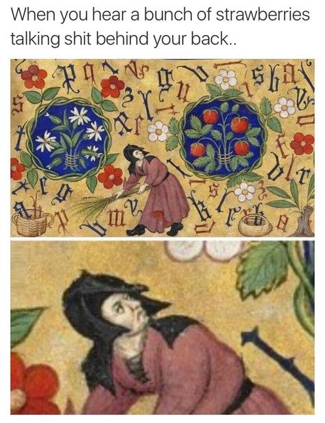 Stop Talkin Shit, Strawberries. Medieval Reactions, Extremely Funny Memes, Medieval Memes, Art History Memes, Historical Humor, Funny Art History, Classical Art Memes, History Jokes, History Humor