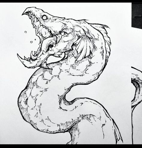 Eel Sketch, Sea Monster Sketch, Eel Tattoo Design, Eel Illustration, Eel Drawing, Eel Art, Sorie Kim, Sea Monsters Drawing, Sea Creatures Drawing