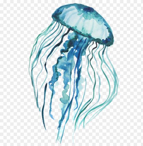 Jellyfish Png, Background Png Images, Watercolor Jellyfish, Fish Icon, Blue Jellyfish, Background Drawing, Clear Background, Png Icons, Background Png