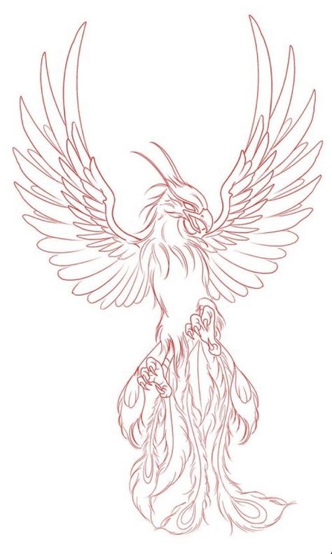 Phoenix Outline Drawing, Phoenix Outline Tattoo, Phoenix Drawing Simple, Phoenix Art Drawing, Phoenix Tattoo Stencil, Fenix Tattoo Design, Phoenix Tattoo Sketch, Phoenix Stencil, Phoenix Line Art