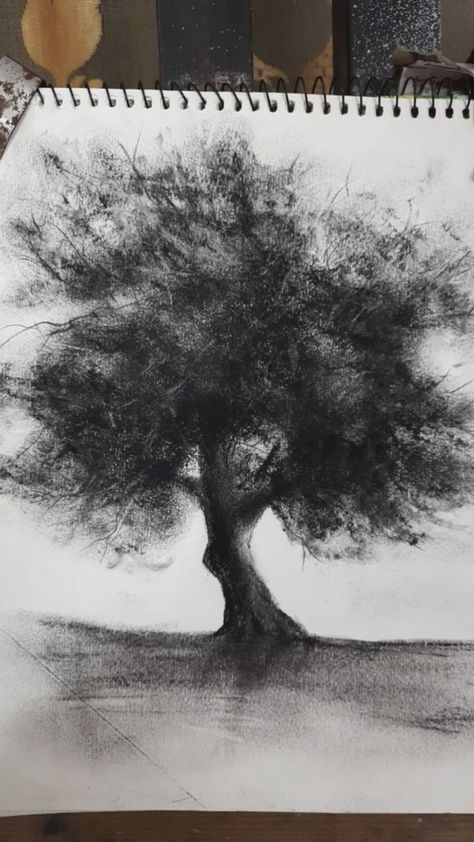 Charcoal Tree Sketch, Charcoal Stick Art, Chalk Tree Drawing, Beginner Charcoal Drawing, Coal Drawing Easy, Carbon Drawings, Charcoal Art Landscape, Charcoal Art Sketches, Charcoal Tree Drawing