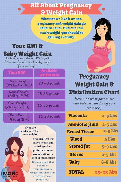 How Much Weight Can I Lose During Pregnancy, How To Not Gain Weight During Pregnancy, Losing Weight While Pregnant, Pregnancy Weight Gain Chart, Pregnancy Super Foods, Weight Gain During Pregnancy, Pregnancy Development, Organize Closet, Healthy Pregnancy Food