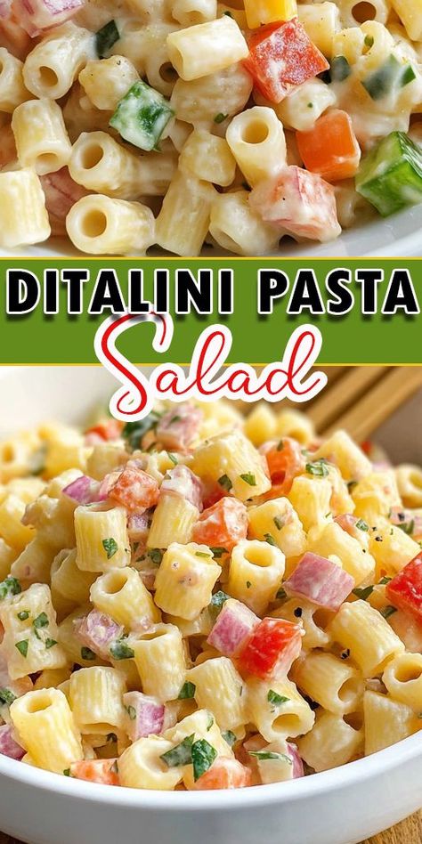 Try this Ditalini Pasta Salad! 🌿🍝 Packed with fresh veggies, flavorful dressing, and perfectly cooked ditalini pasta, this salad is perfect for a summer picnic, BBQ, or a quick weeknight dinner. 📌 Pin it now to save this recipe for later and make it part of your go-to summer dishes! Don’t forget to share with your friends! 👇 #PastaSalad #EasyRecipes #DitaliniPasta #SummerRecipes #HealthyEating Ditalini Salad Recipes, Pasta Salad Ditalini, Ditalini Pasta Recipes Cold, Cold Dishes For Potluck, Ditalini Pasta Salad, Shell Pasta Salad, Ditalini Pasta Recipes, Recipes With Ditalini Pasta, Cold Pasta Salad Recipes