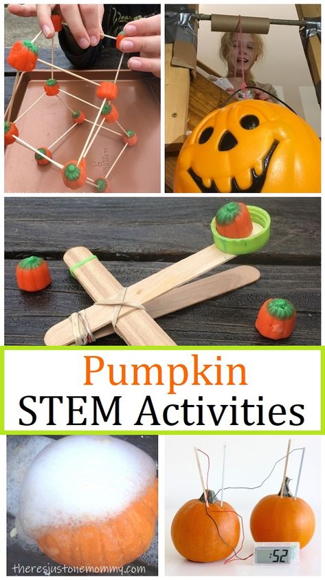 These simple pumpkin STEM activities are perfect for fall #STEMactivities #STEMforkids #STEMchallenges Pumpkin Stem Activities, Pumpkin Science Activities, Pumpkin Science Experiment, Fall Stem Activities, Pumpkin Investigation, Halloween Stem Activities, Pumpkin Science, Stem Activities For Kids, Parts Of A Pumpkin