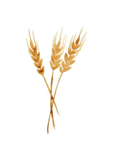 Wheat Drawing, Wheat Tattoo, Watercolour Poster, Drawing Tattoo, Bakery Logo, Watercolor Sketchbook, Floral Logo, Beautiful Posters, 로고 디자인