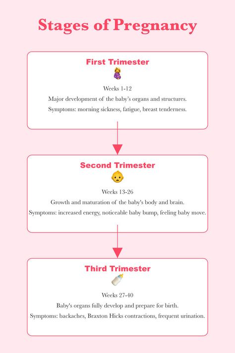 Explore the different stages of pregnancy and understand the changes your body will go through. Learn about each trimester, key milestones, and what to expect as your baby grows. Get tips for managing symptoms and staying healthy throughout your pregnancy journey. Visit mommysbelt.com for more information and to ensure safety while driving with our pregnancy seat belt adjuster. #PregnancyStages #MomLife #PregnancyJourney #PregnancyTips #HealthyPregnancy #MommyBelt #ExpectingMom #BabyOnBoard Feeling Baby Move, Trimester By Weeks, Seat Belt Adjuster, Braxton Hicks, Stages Of Pregnancy, Pregnancy First Trimester, Second Trimester, Baby Advice, Staying Healthy