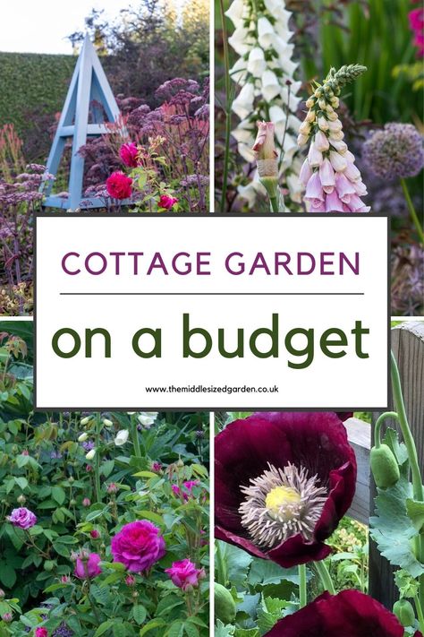 From empty space to brilliant cottage garden - on a shoestring budget. Lots of clever recycling ideas plus tips for keeping plant costs down. If you love cottage gardens, don't miss this 🌻🌲❤️😍 Garden On Budget, Simple Cottage Garden Ideas, Low Maintenance Garden Ideas On A Budget Uk, Narrow Cottage Garden, Small Cottage Garden Ideas On A Budget, Cottage Garden Trellis, How To Plan A Cottage Garden, Cottage On A Budget, How To Design A Cottage Garden