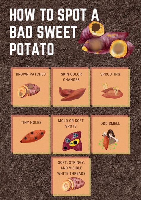 How To Tell If A Sweet Potato Is Bad Best Sweet Potatoes, Clever Kitchen Hacks, Raw Sweet Potato, Freeze Sweet Potatoes, Potato Pudding, Canning Sweet Potatoes, Sweet Potato Pancakes, Sweet Potato Brownies, Marinate Meat