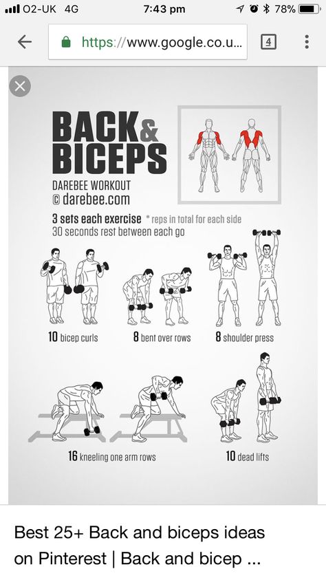 Bicep Workout Dumbell, Back And Bicep Workout Dumbell, Workout Dumbell, Dumbbell Workout Plan, Free Weight Workout, Back And Bicep Workout, Dumbbell Workout At Home, Month Workout Challenge, Bicep Workout